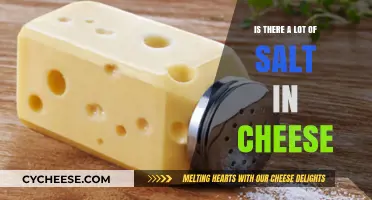 Uncovering the Truth: How Much Salt is Really in Cheese?
