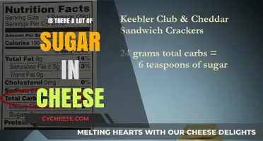 Is Cheese a Hidden Sugar Source? Uncovering the Sweet Truth