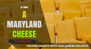 Exploring Maryland's Dairy Scene: Does a Local Cheese Exist?