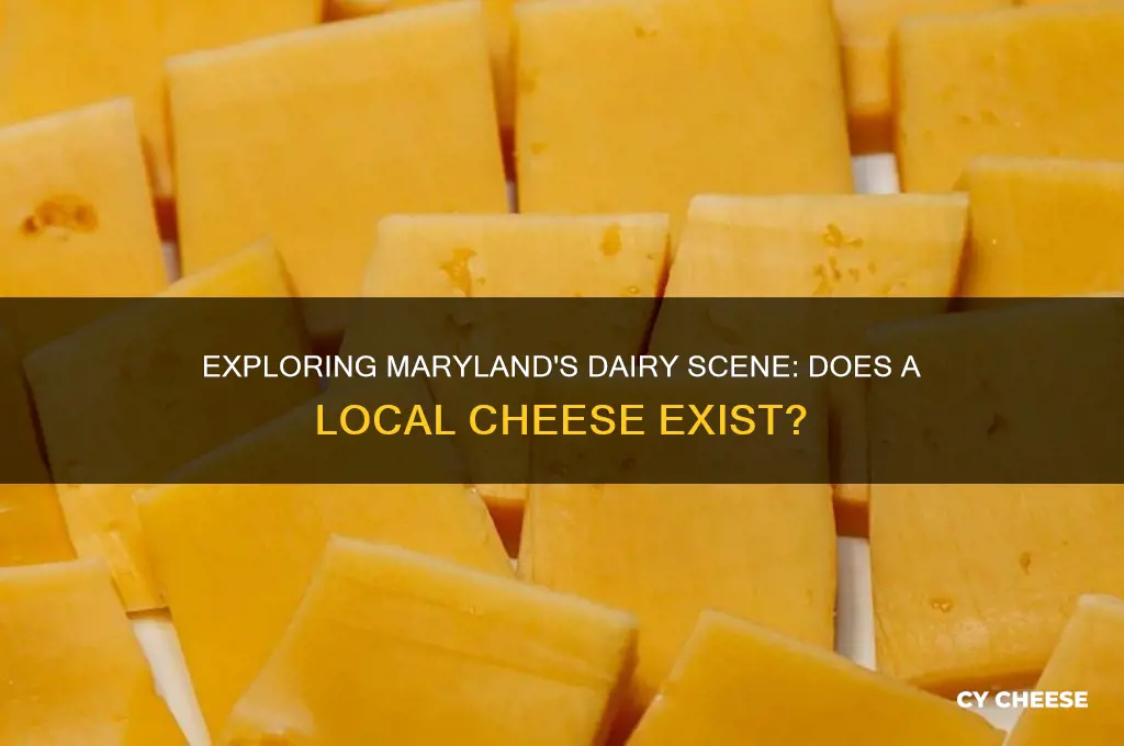 is there a maryland cheese