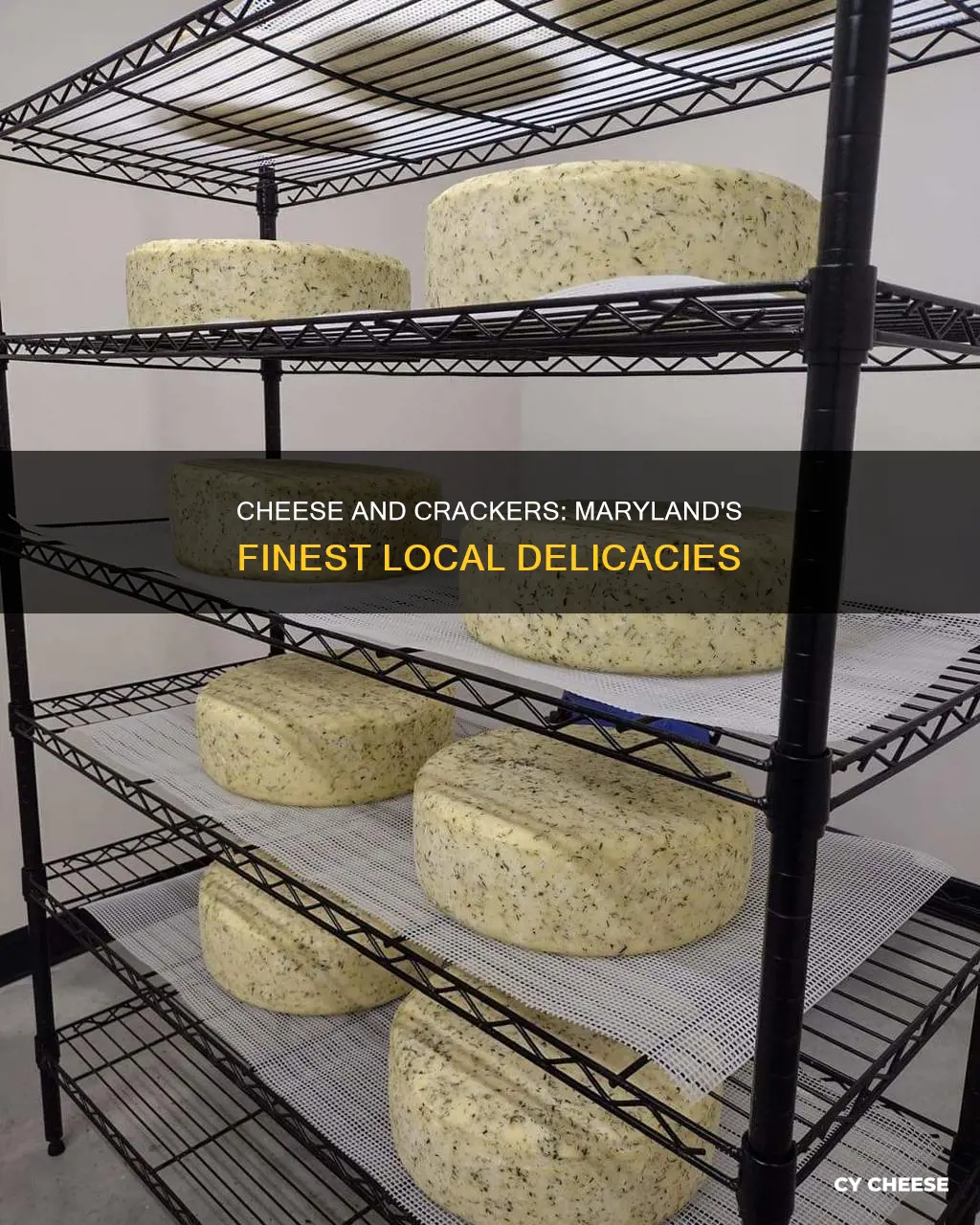 is there a maryland made cheese and crackers