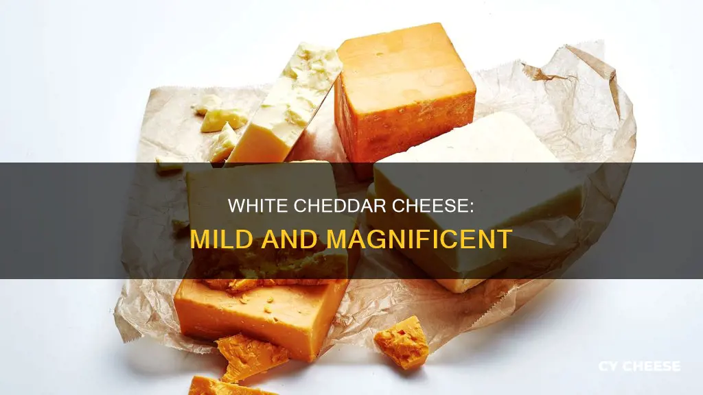 is there a mild white cheddar cheese