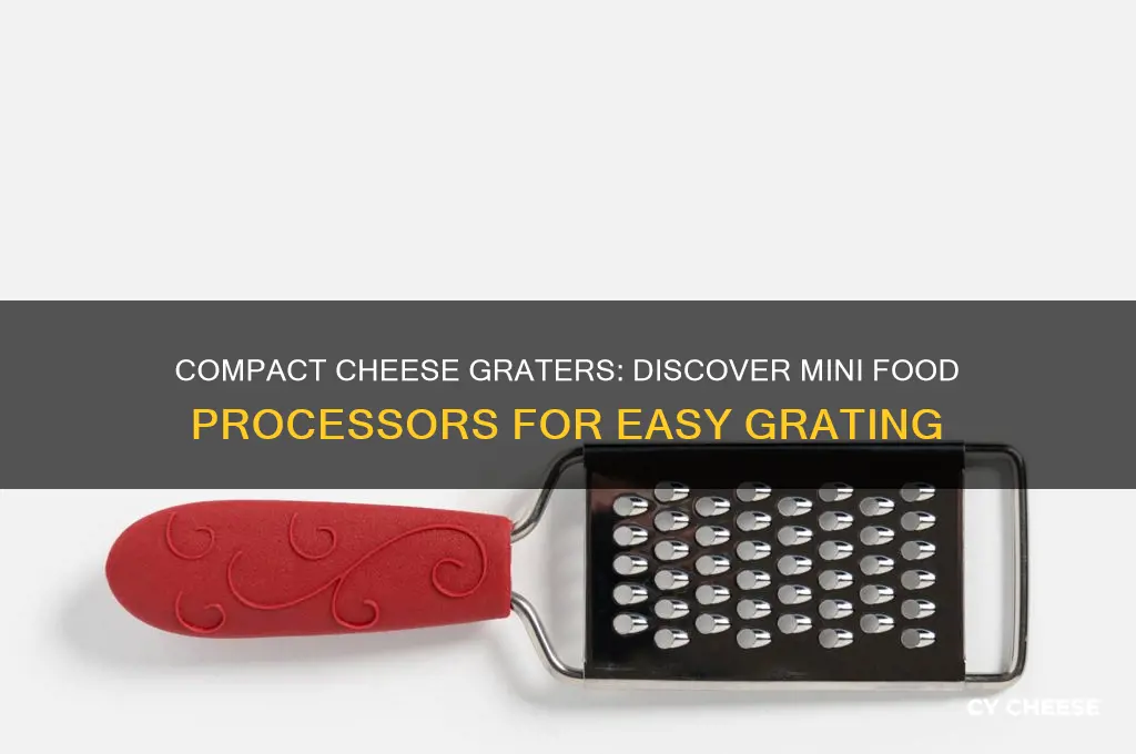is there a mini food processor that grates cheese
