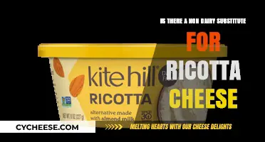 Creamy Non-Dairy Ricotta Alternatives: Plant-Based Cheese Substitutes for Recipes