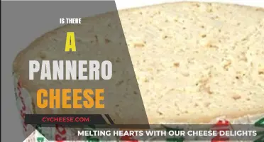 Exploring Pannero Cheese: Myth or Real Dairy Delight?