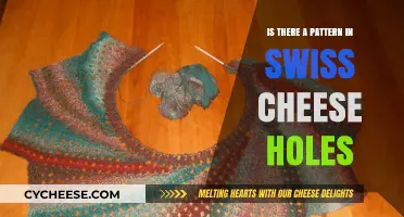 Swiss Cheese Holes: Mystery Behind the Pattern