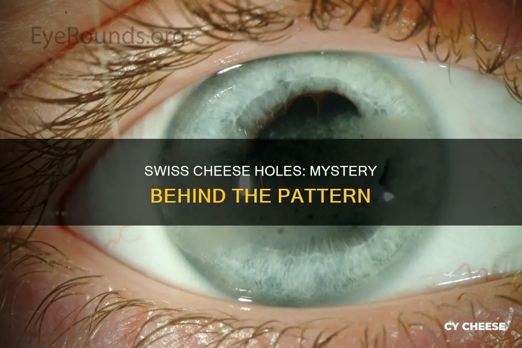 is there a pattern in swiss cheese holes