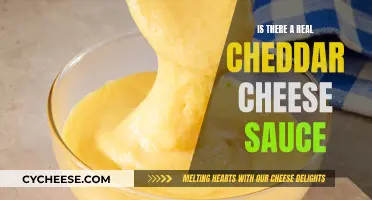 Real Cheddar Cheese Sauce: Fact or Fiction?