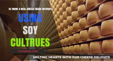 Cheese Without Soy: Is It Possible?