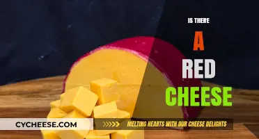 Exploring the Myth: Does Red Cheese Really Exist?