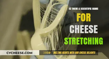 The Science Behind Cheese Stretching: Unraveling Its Scientific Name
