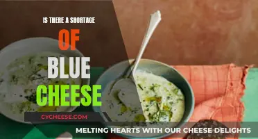 Blue Cheese: A Rare Delicacy or Supply Crisis?