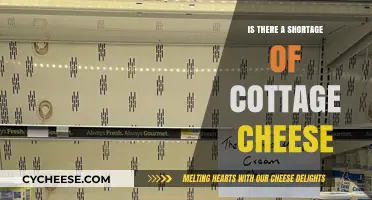 Cottage Cheese Shortage: Fact or Fiction? Exploring the Dairy Dilemma