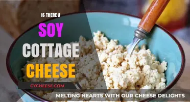 Exploring Soy Cottage Cheese: A Dairy-Free Alternative for Cheese Lovers