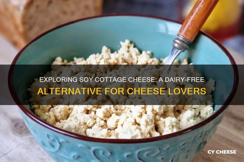 is there a soy cottage cheese