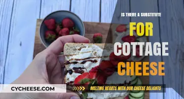 Cottage Cheese Alternatives: Discover Healthy and Tasty Substitutes Today