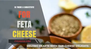 Feta Cheese Alternatives: Similar Cheeses to Try