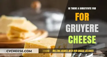 Gruyere Alternatives: Discover Cheesy Substitutes for Your Favorite Recipes
