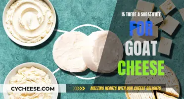 Goat Cheese Alternatives: Exploring Delicious Substitutions
