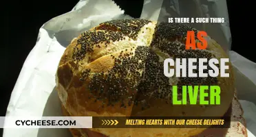 Cheese Liver: Myth or Reality? Exploring the Truth Behind the Term