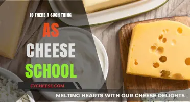 Exploring Cheese School: Fact or Fiction for Cheese Enthusiasts?