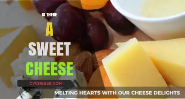 Exploring Sweet Cheese Varieties: A Delicious Dairy Adventure