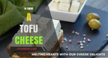 Exploring Plant-Based Alternatives: Does Tofu Cheese Really Exist?