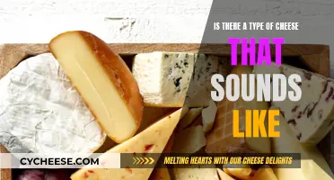 Cheese Names: Similar-Sounding Savory Delights