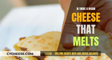 Vegan Cheese: Melting Options for Dairy-Free Diets
