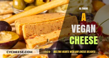 Exploring Plant-Based Alternatives: Is There a Vegan Cheese for You?