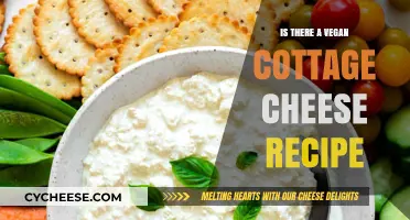 Discover Creamy Vegan Cottage Cheese Recipe: Easy, Dairy-Free Delight