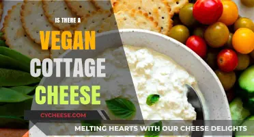 Exploring Vegan Cottage Cheese: Plant-Based Alternatives and Recipes