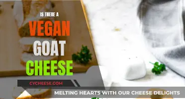 Vegan Goat Cheese: Unveiling the Creamy, Cheesy Alternative