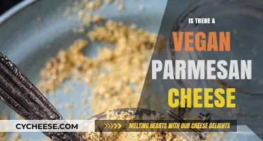 Vegan Parmesan: The Ultimate Guide to Dairy-Free Cheeses