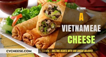 Exploring Vietnamese Cuisine: Does Traditional Cheese Exist in Vietnam?