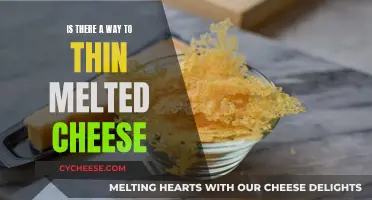 The Art of Melting Cheese: Achieving the Perfect Consistency