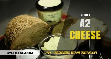 Exploring A2 Cheese: What It Is, Benefits, and Where to Find It