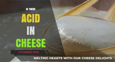 Is There Acid in Cheese? Uncovering the Tangy Truth