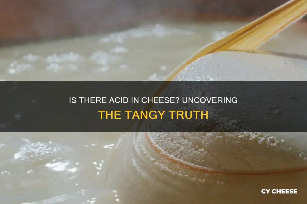 is there acid in cheese