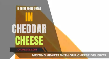 Cheddar Cheese: Sugar-Free or Not?