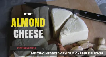 Exploring Dairy-Free Options: Does Almond Cheese Really Exist?