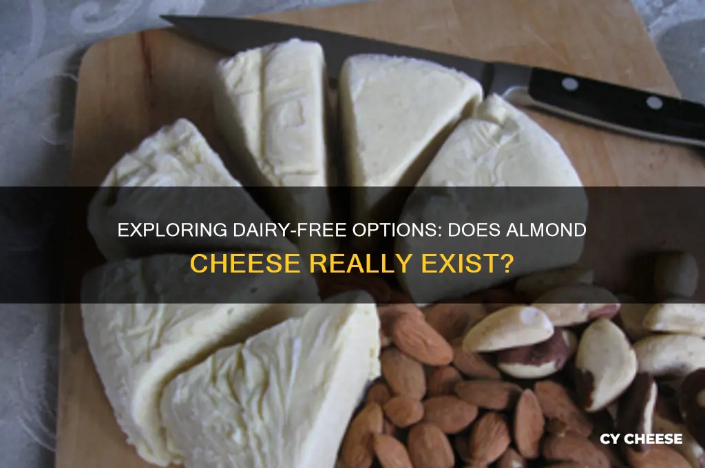 is there almond cheese