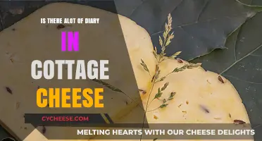 Cottage Cheese and Dairy: Unraveling the Ingredients in Your Favorite Snack