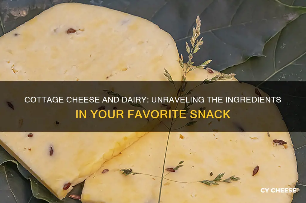 is there alot of diary in cottage cheese