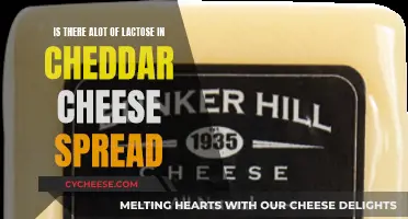 Lactose Levels in Cheddar Cheese Spread: How Much?