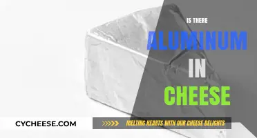Aluminum in Cheese: Fact or Fiction? Uncovering the Truth