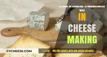 Unhomogenized Milk in Cheese Making: Benefits and Flavor Advantages