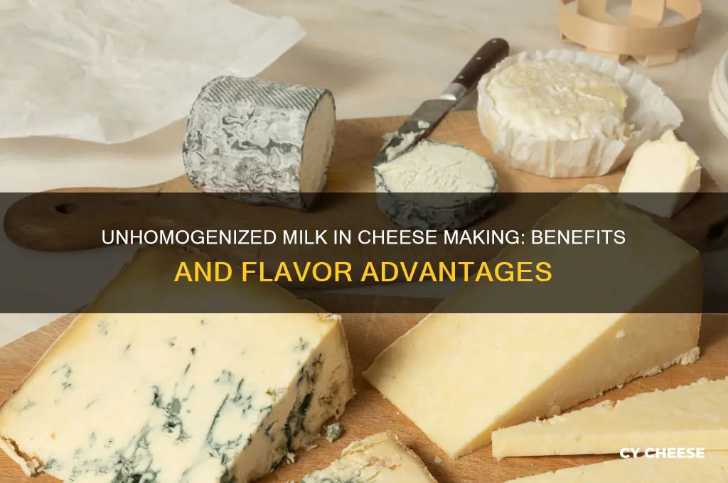 is there an advantage to unhomogonized milk in cheese making