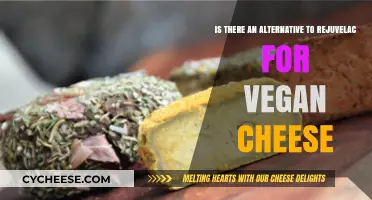 Vegan Cheese Making: Exploring Rejuvelac Alternatives for Plant-Based Fermentation