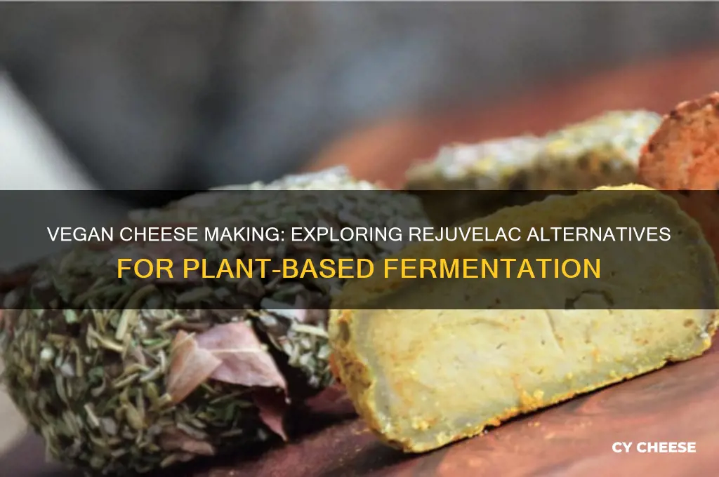 is there an alternative to rejuvelac for vegan cheese